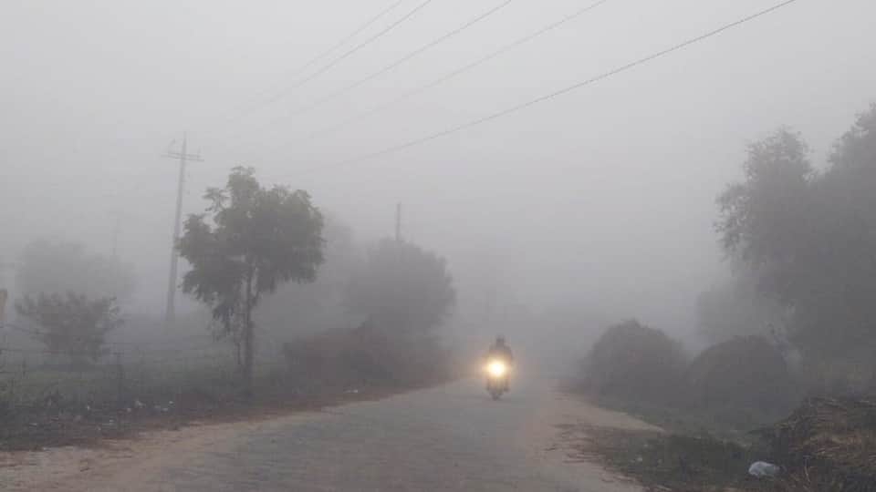 Dense fog alert in Punjab Visibility will be affected in nine districts