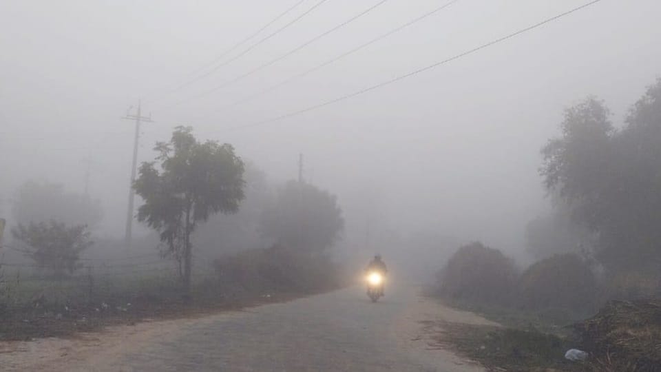 कोहरा