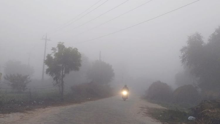 हरियाणा में लाैटा कोहरा: लगातार दूसरे दिन धुंध में लिपटे शहर, 10 मीटर रही दृश्यता, जानें आगे कैसा रहेगा माैसम