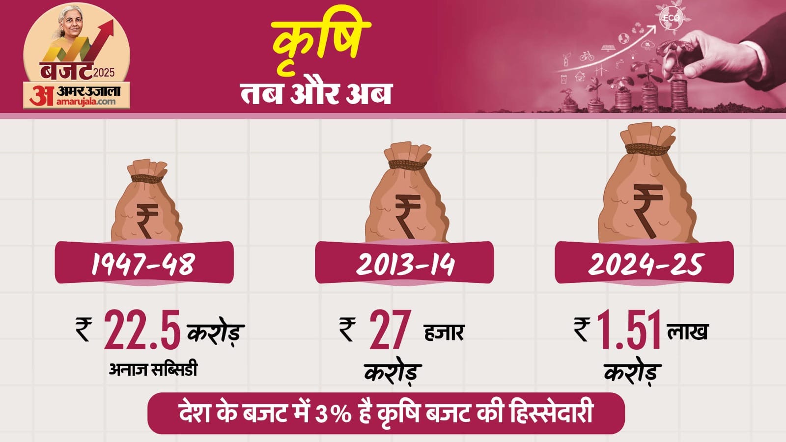 Budget 2025 middle class will become rich know what farmers, soldiers and youth got