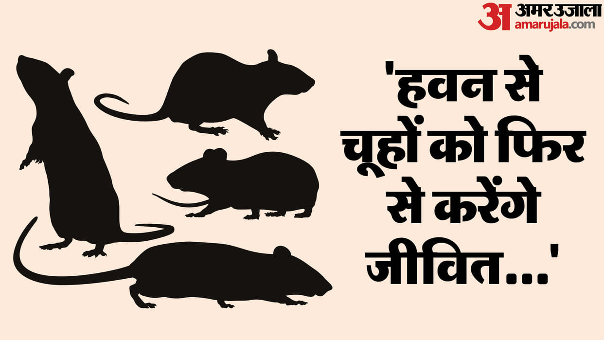 Moradabad News Police Officer Claims to Be Kalki Avatar SSP Statement Details in Hindi