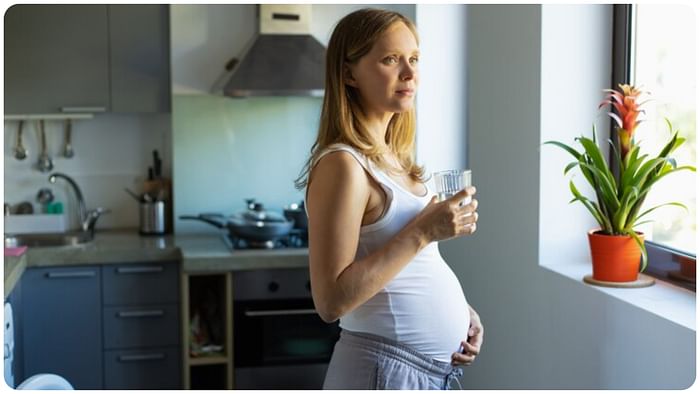 Lunar Eclipse 2025 Precautions During Pregnancy Chandra Grahan Me Pregnant Lady Kya Kare In Hindi