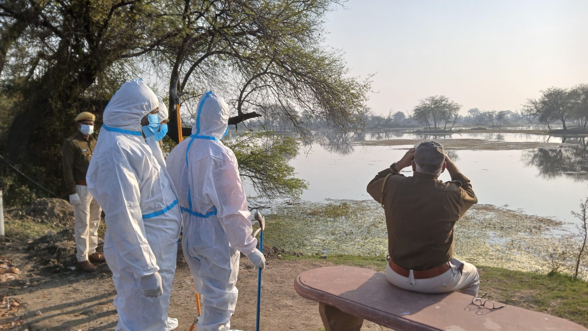 Bharatpur: Bird flu knocks in Keoladeo, park administration is on alert mode, wearing PPE kit and monitoring