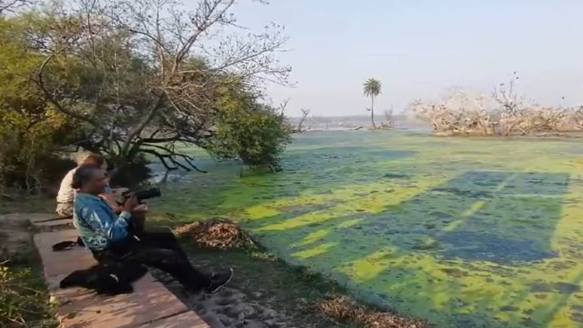 Bharatpur: Bird flu knocks in Keoladeo, park administration is on alert mode, wearing PPE kit and monitoring