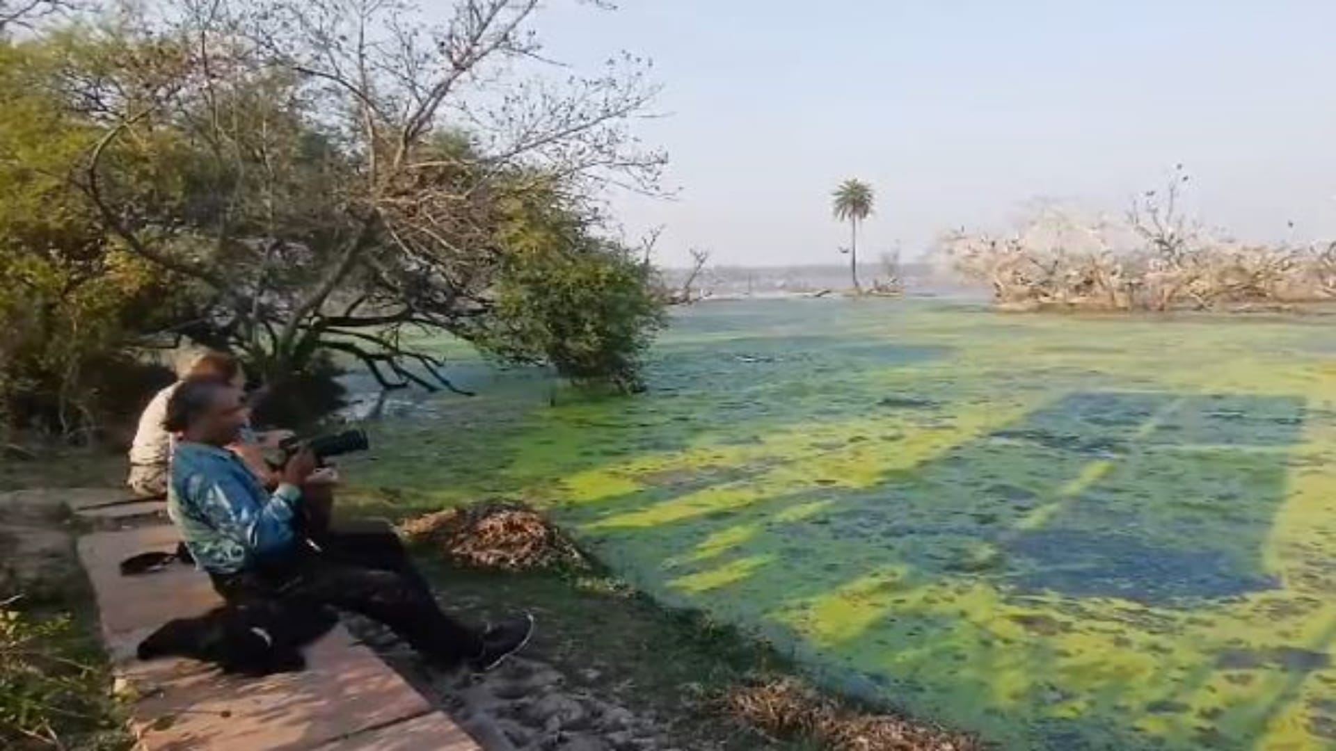 Bharatpur: Bird flu knocks in Keoladeo, park administration is on alert mode, wearing PPE kit and monitoring