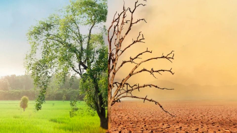 only seven countries shared their climate plans for 2035 Amid intense discussions on climate change