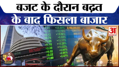 Union Budget 2025: Market slipped after initial gains during the budget