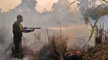 आग बुझाते दमकल कर्मी।