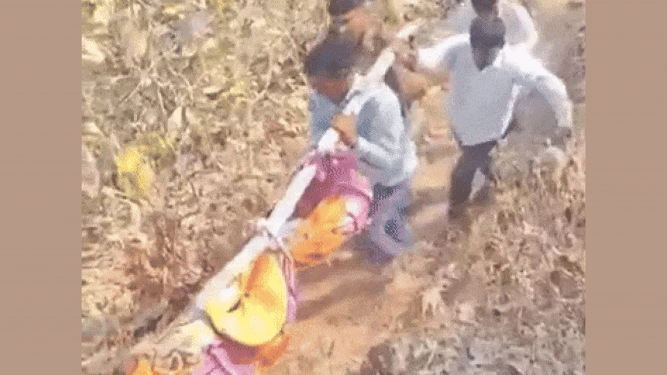Indore MBA Student Falls 500 Feet Into Deep Pit at Dhamnod’s Joggi Bhak Waterfall, Dies Instantly