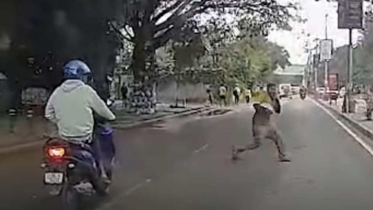 Viral Dashcam Video From Bengaluru Shows Man Staging Car Accident Karnataka news in hindi