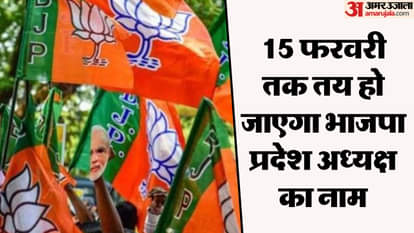 भाजपा को फरवरी में मिल सकता है नया प्रदेश अध्यक्ष