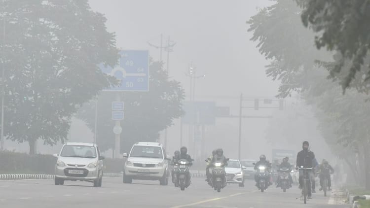 Fog In Chandigarh Cold Wave – Amar Ujala Hindi News Live