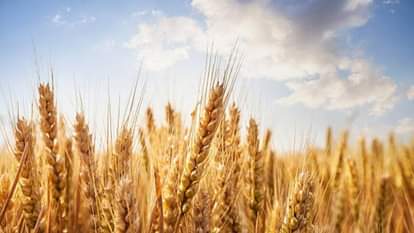 सांकेतिक तस्वीर