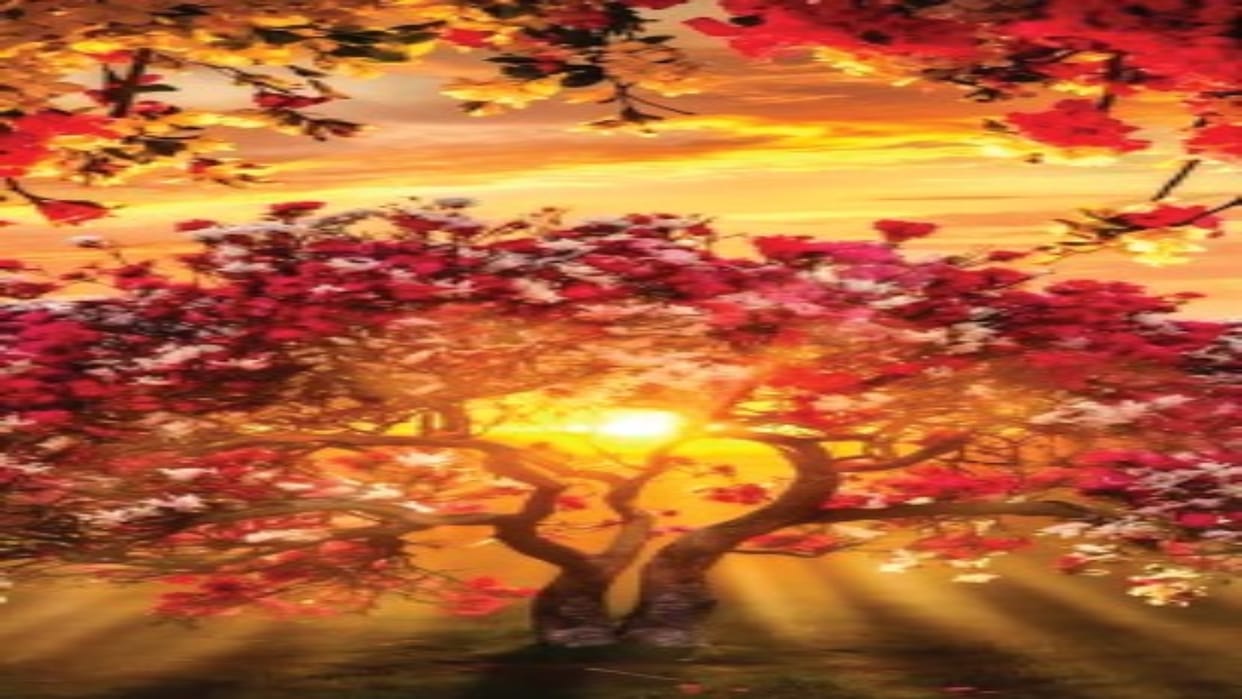 Spring Season India in Basant Ritu transmission of heat in inertia time for plans and projects