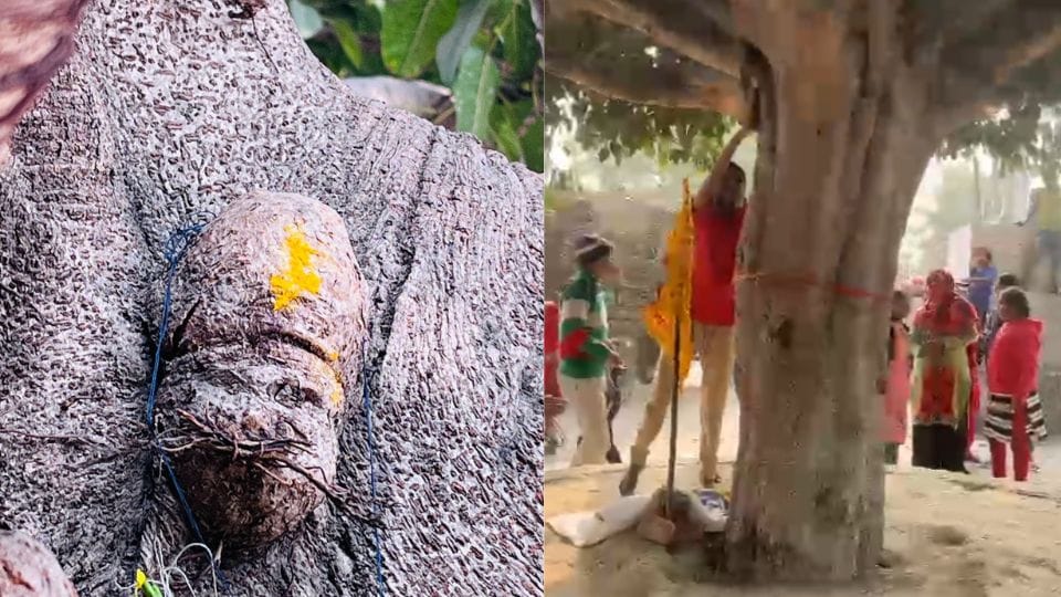 people started worshiping figure emerging from Pilkhan tree as image of Khatu Shyam In Ghaziabad