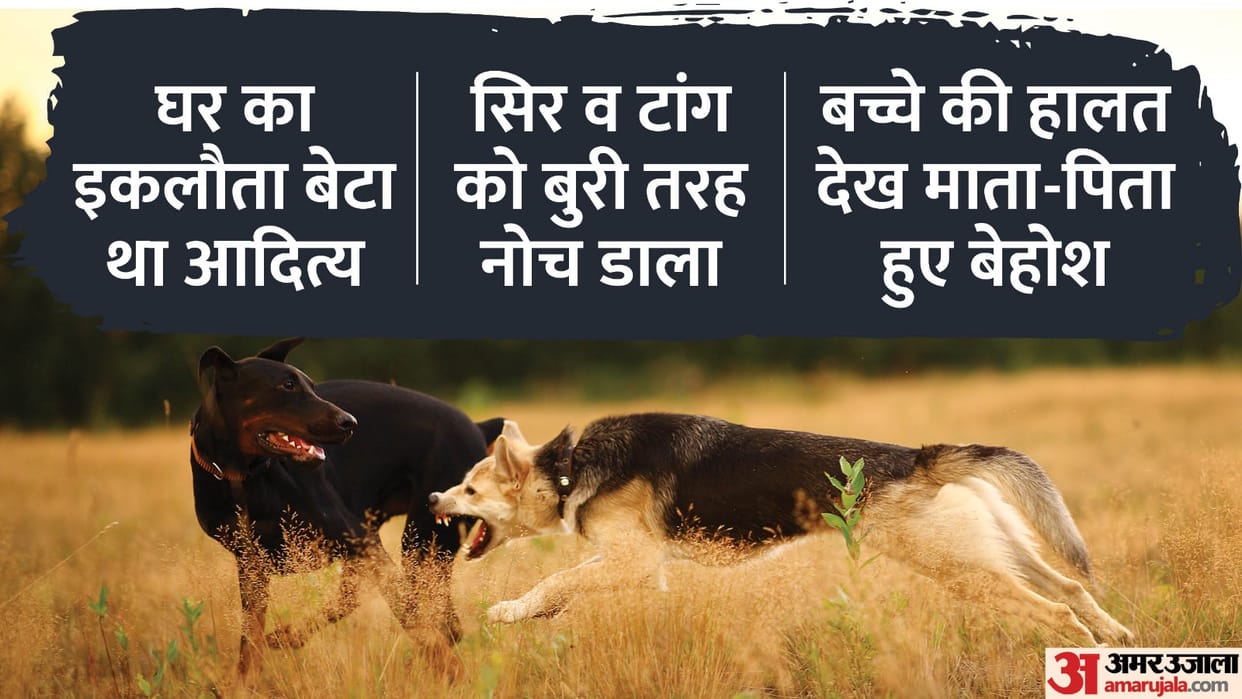 A 10-year-old boy mauled to death by dogs in Karnal