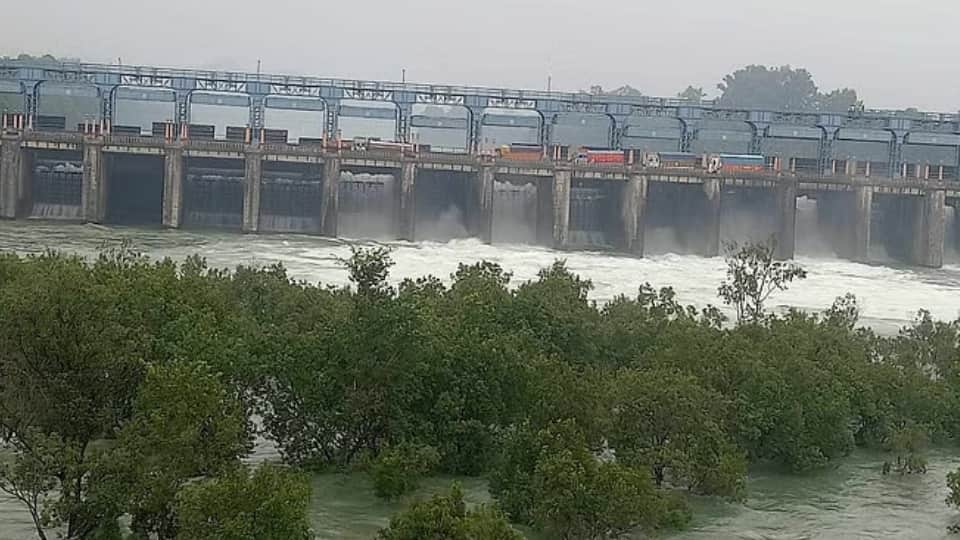 Bhakra water level rises by 22 feet in 14 days water crisis could deepen across three states Chandigarh