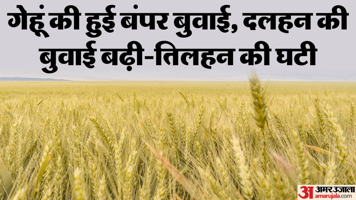 Agriculture: Common man will get relief from inflation Wheat prices may come down