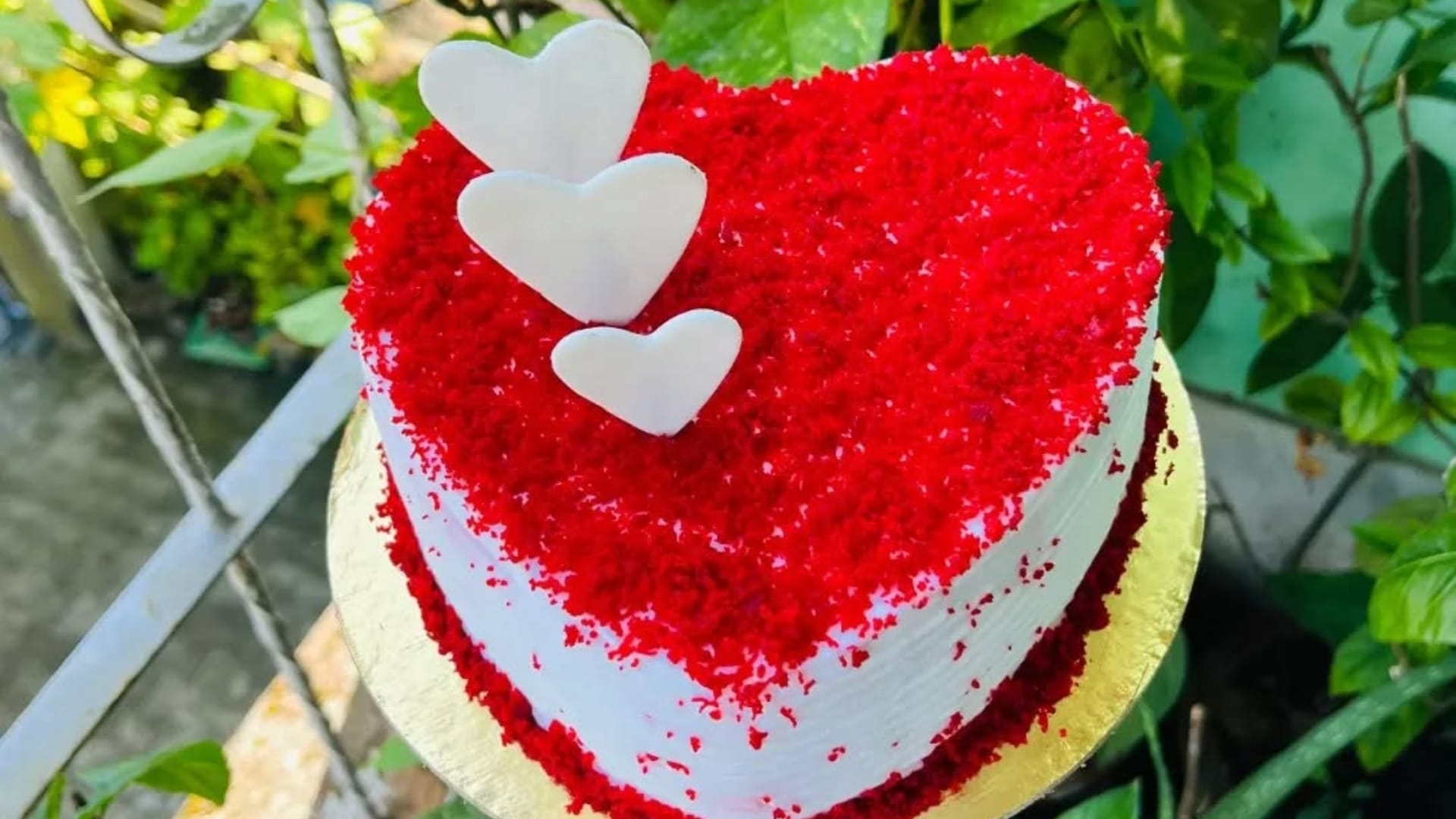 Valentine Day Special flavor Cake Know How To Make Cake At Home Recipe in Hindi