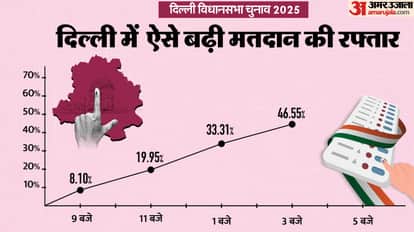 Delhi Election: 2020 में बल्लीमारान तो 2025 में मुस्तफाबाद सबसे आगे, जानें मतदान के ताजा आंकड़े Delhi Assembly Election 2025 Voters Exercise right voting percentage comparison 2020 from Cantt to Ballimaran