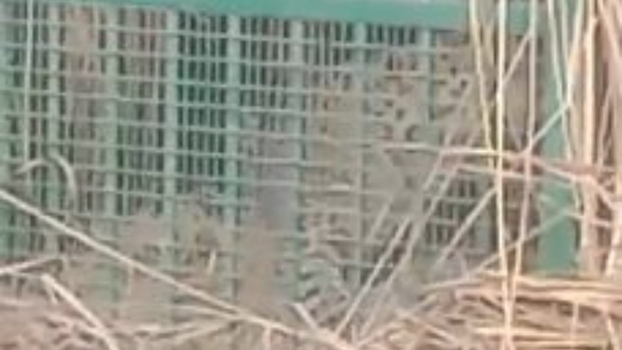 Leopard caught in the forest department cage in Lakhimpur kheri