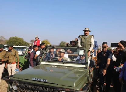 Projech Cheetah: Kuno's five leopards 'freed', CM Mohan Yadav released them in the open forest