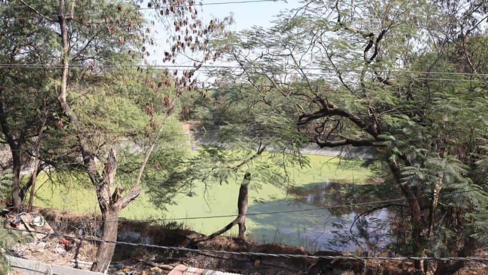 indore news hukumchand mill green belt