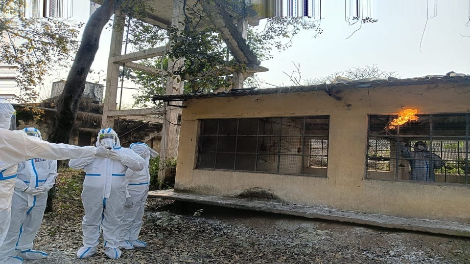 team of Central Health and Family Welfare Department inspected bird flu infected zone and gave suggestions in