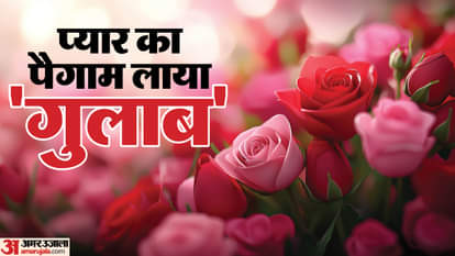 रोज डे की शायरियां