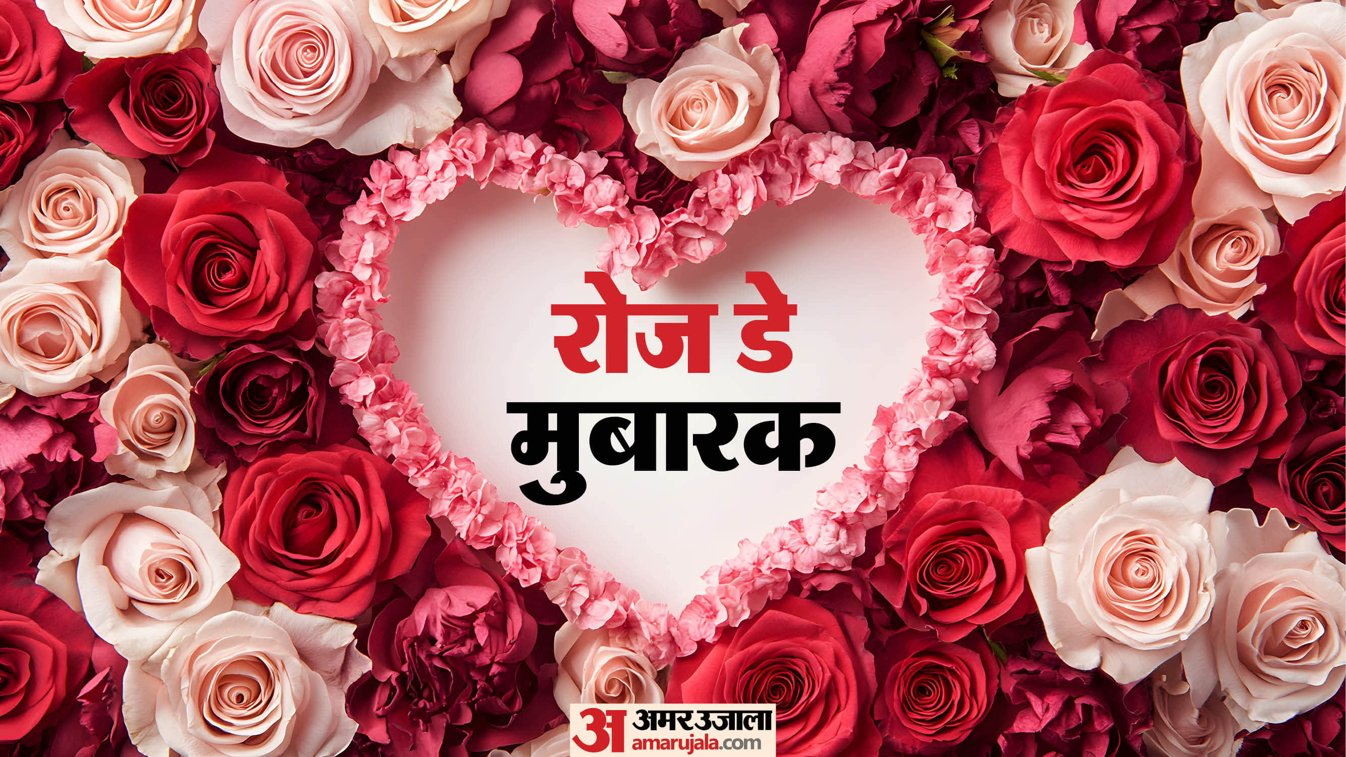 Rose Day 7 February History And Significance Valentine Week Connection