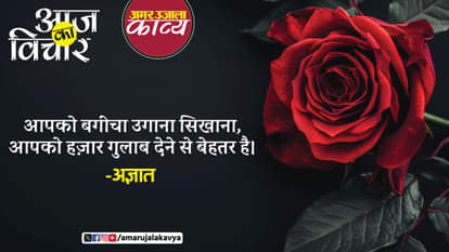 famous quote on rose day aapko bageecha ugana sikhana aapko hazar ghulab dene se behtar hai