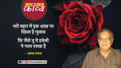 valentine week rose day famous shayari rose day sher love poetry
