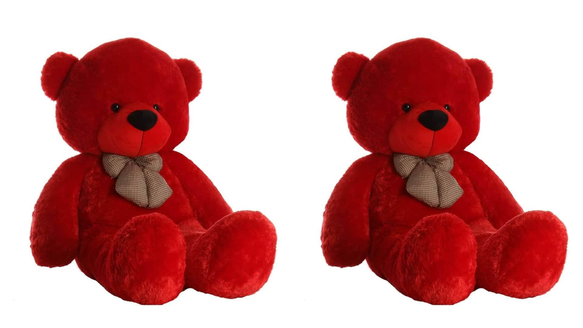 Teddy Day 2026 Teddy Bear Meaning In hindi Girlfriend Ko Kaisa Teddy Den