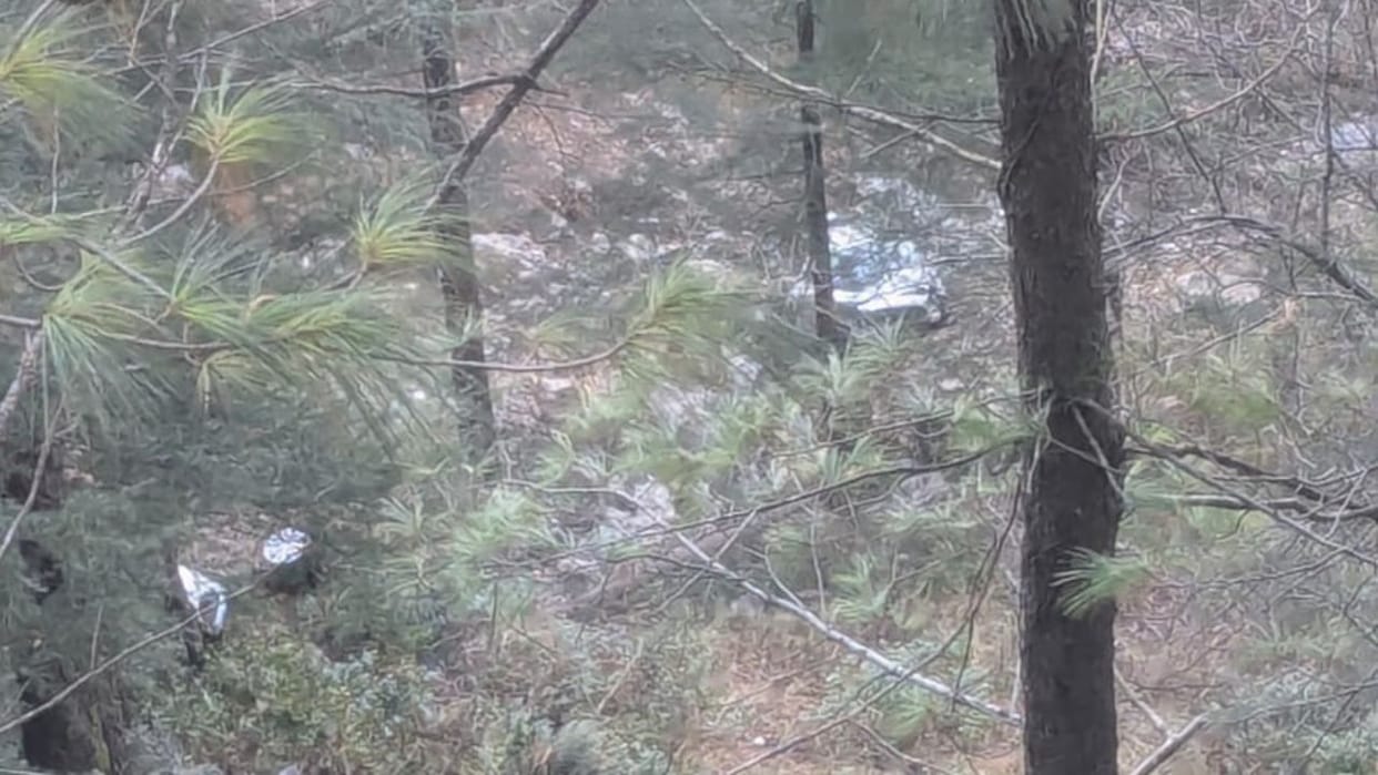 Mandi News Car crashed near Lehgala in Mandi driver injured in the accident