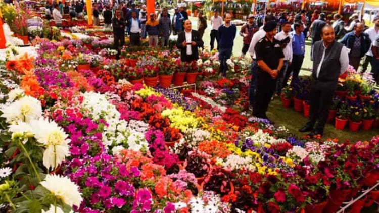 देहरादून: वसंतोत्सव आज से, राज्यपाल ने प्रचार वाहनों को दिखाई हरी झंडी, AI आधारित एप से आगंतुकों की होगी गणना