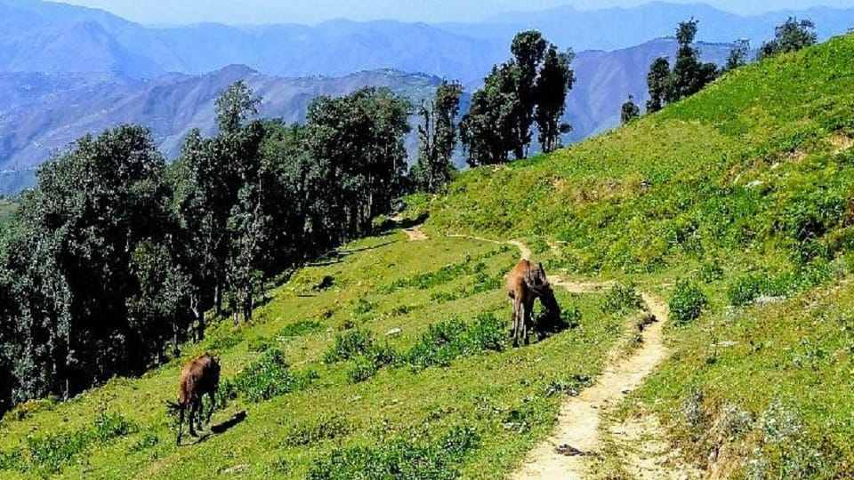 Walking routes built during the British period will be developed as trekking routes in bhowali nainital