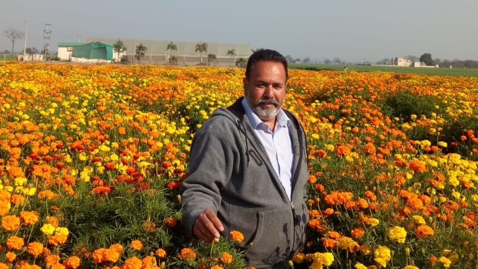 Gurpreet Singh Shergill village Mujal Khurd Patiala earning fame cultivating flowers