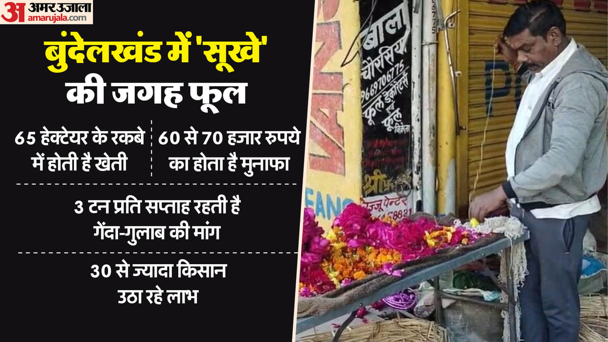 Bundelkhand flower spreading fragrance in Maha Kumbh and Bageshwar Dham