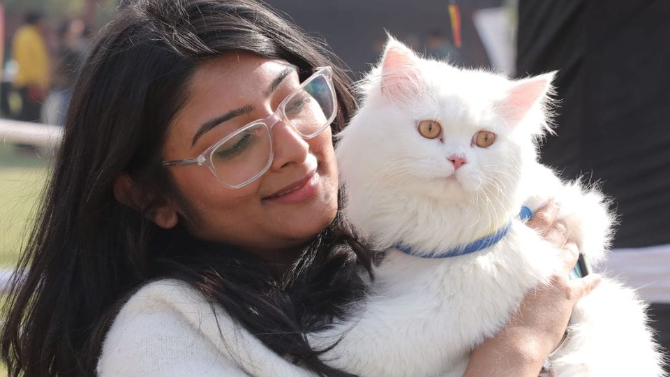 More than 250 dogs of 25 breeds arrived in first dog show in Noida