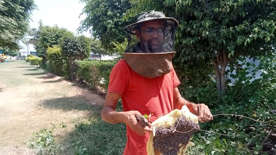 Left IT company after doing B.Tech, now doing business of 80 lakhs from honey production