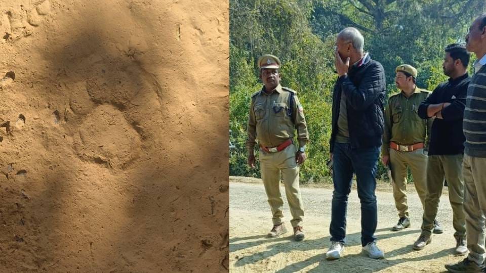 tiger has been hungry for five days in Lucknow looking for prey Forest department teams on alert mode