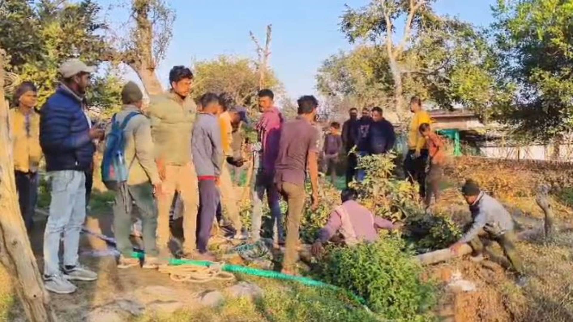 तेंदुओं को निकालते हुए