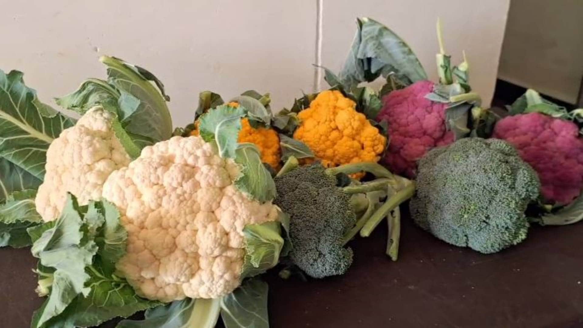 Health Tips for Kidney Vegetables to Keep Your Kidneys Healthy in hindi