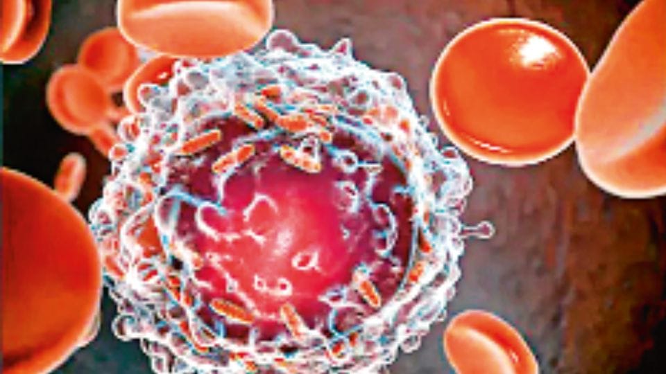 IIT Madras first cancer genome database in India better treatment of cancer at initial stage