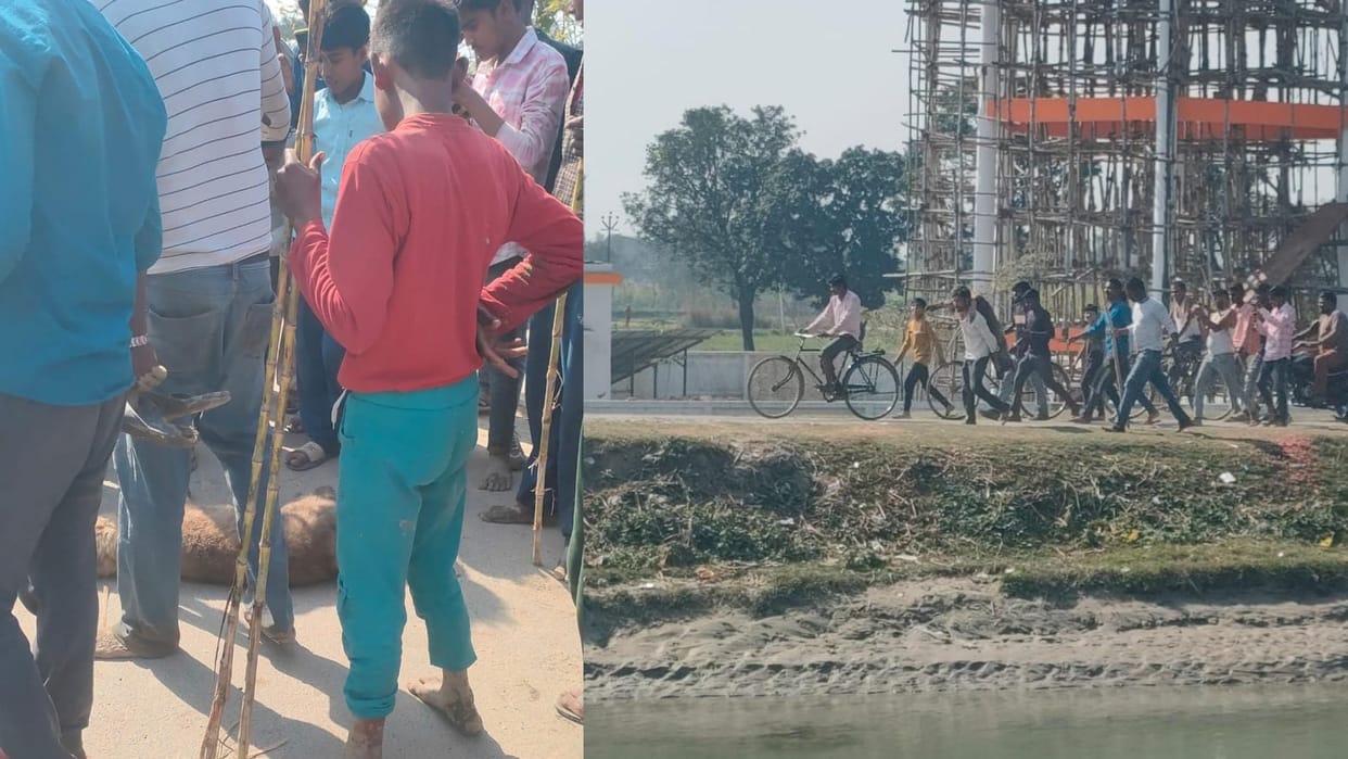 Sitapur: Villagers beat wild animal and killed in Sitapur.