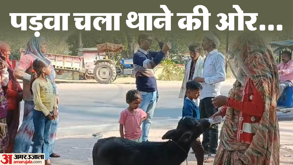 MP News After buffalo was stolen farmer reached Chhatarpur SP office with padwa