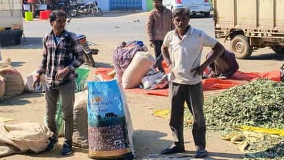 MP News: Thorns, leaves and peels are sold in the agricultural produce market of Neemuch in Madhya Pradesh