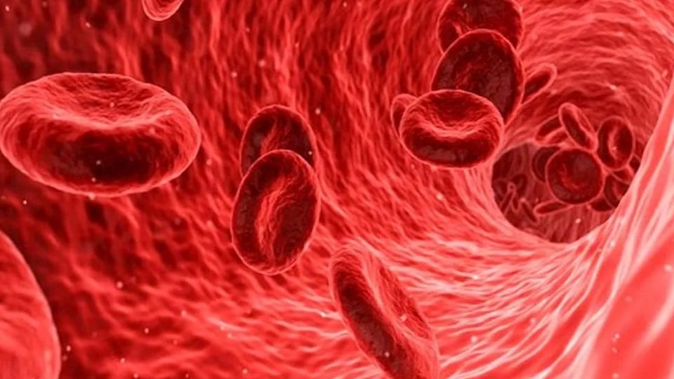Dizziness After Standing UP Causes Know of Serious Health Issue orthostatic hypotension