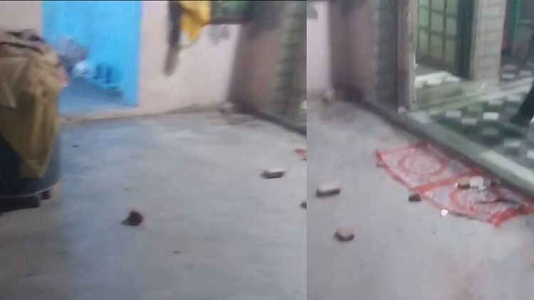 Bhiwani: भाजपा जिला उपाध्यक्ष के घर पर बच्चों की रंजिश को लेकर बरसाई ईंट-पत्थर, खेलने को लेकर हुई थी कहासुनी