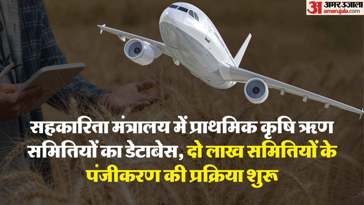 now 'Agricultural Credit Societies' will be able to sell airline tickets in the country